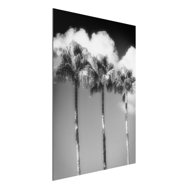 decoraçao para parede de cozinha Palm Trees Against The Sky Black And White