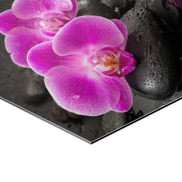 Quadros decorativos Pink Orchid Flower On Stones With Drops