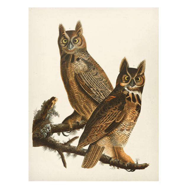 Quadros magnéticos animais Vintage Board Two Large Owls