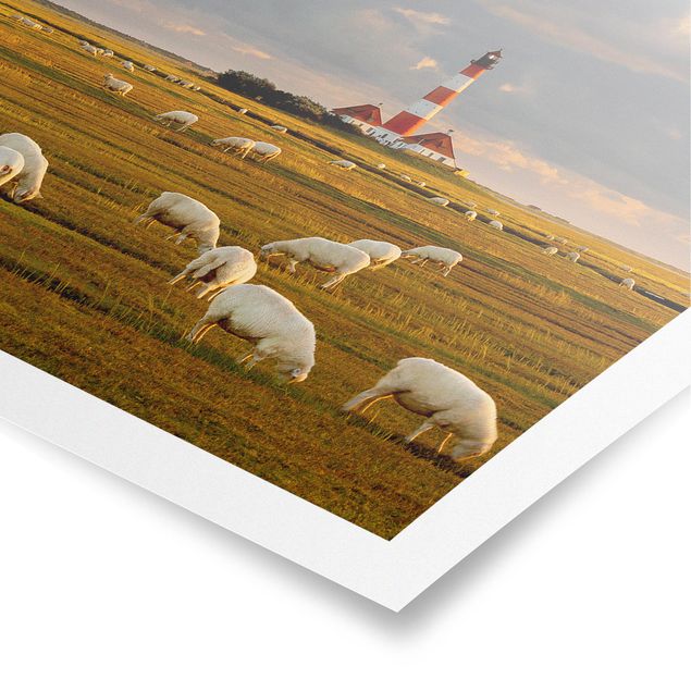 Posters animais North Sea Lighthouse With Flock Of Sheep