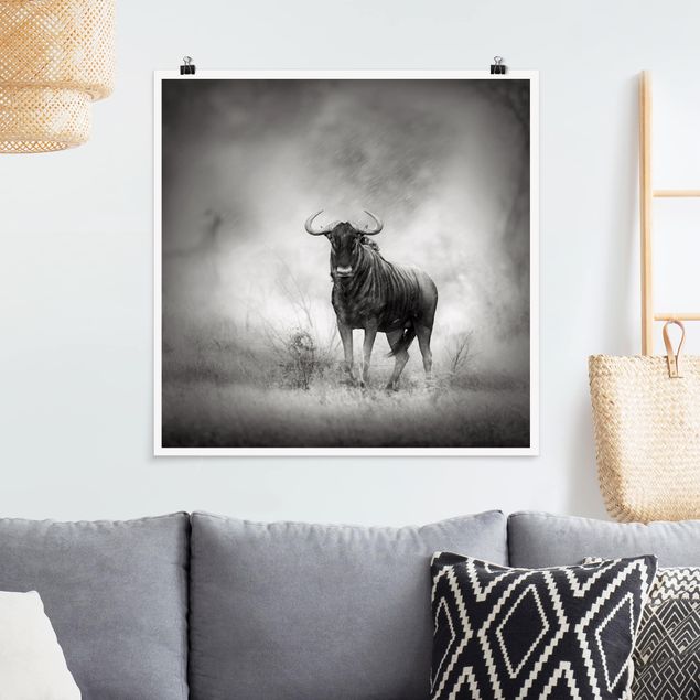 Posters em preto e branco Staring Wildebeest