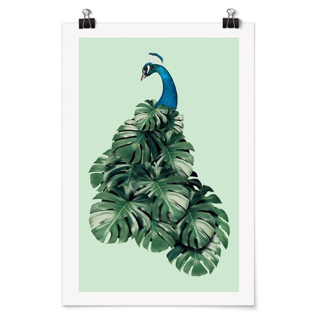Posters quadros famosos Peacock With Monstera Leaves