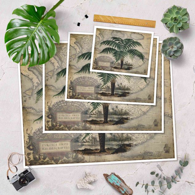 decoração quadros Vintage Collage - Palm And World Map