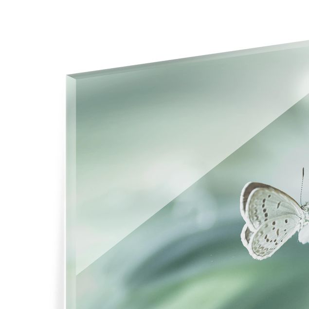 Painel anti-salpicos de cozinha Butterfly And Dew Drops In Pastel Green