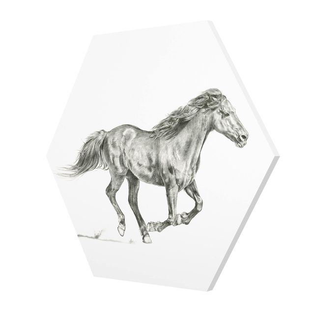 quadros em preto e branco Wild Horse Trial - Mare