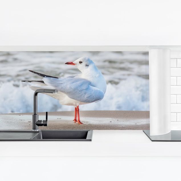 películas adesivas Seagull On The Beach In Front Of The Sea