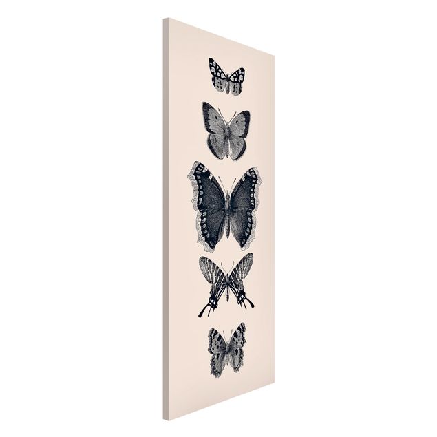 decoraçao para parede de cozinha Ink Butterflies On Beige Backdrop