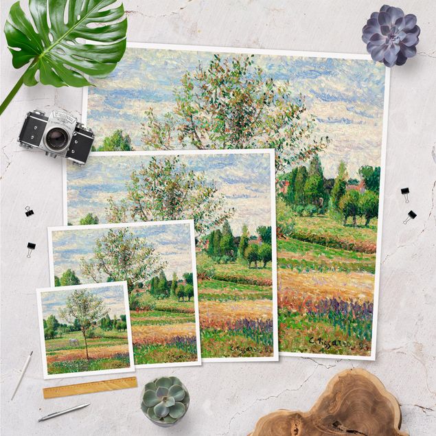 Quadros árvores Camille Pissarro - Meadow with Grey Horse, Eragny