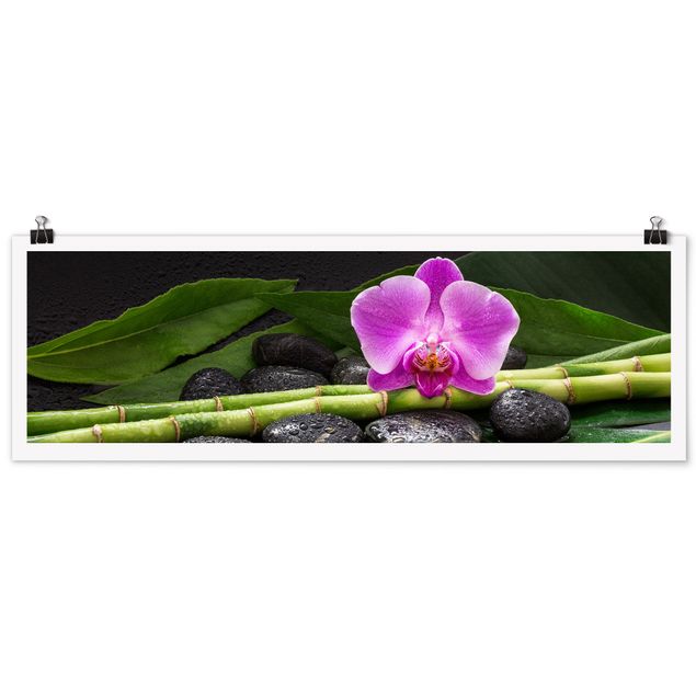 Posters quadros famosos Green Bamboo With Orchid Flower