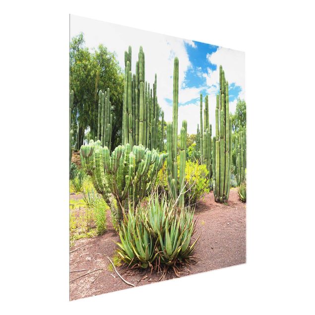 decoraçao para parede de cozinha Cactus Landscape