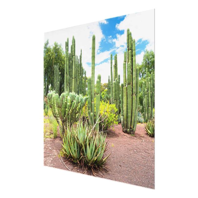 Quadros em vidro flores Cactus Landscape