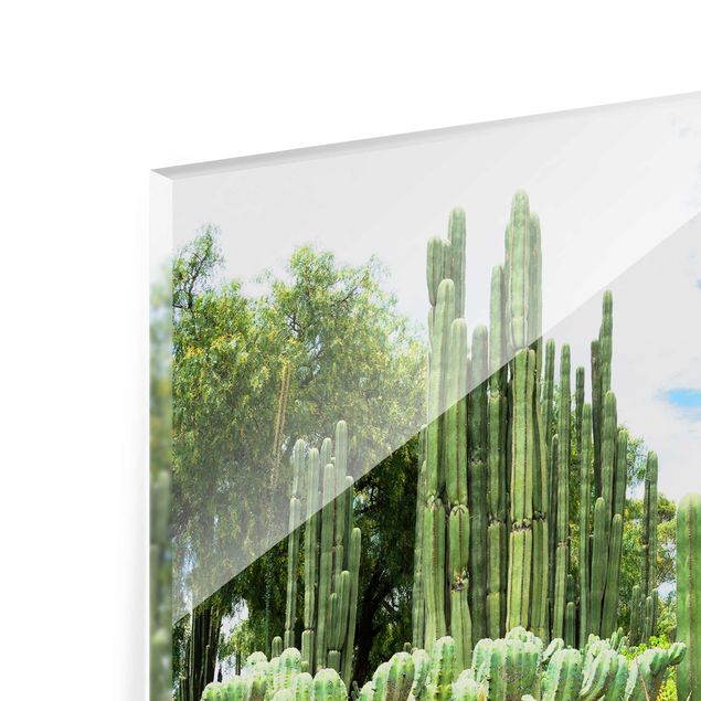Quadros florais Cactus Landscape