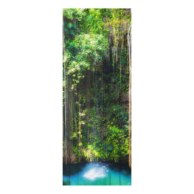 Quadros em vidro paisagens Hanging Roots Of Ik-Kil Cenote