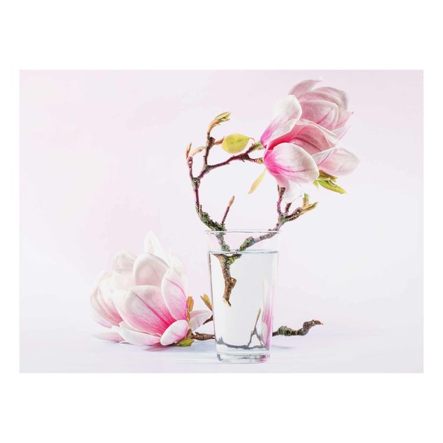 quadros para parede Magnolia In A Glass