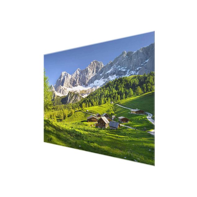 Quadros natureza Styria Alpine Meadow