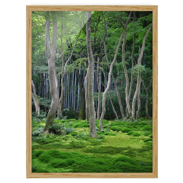 Quadros com moldura paisagens Japanese Forest