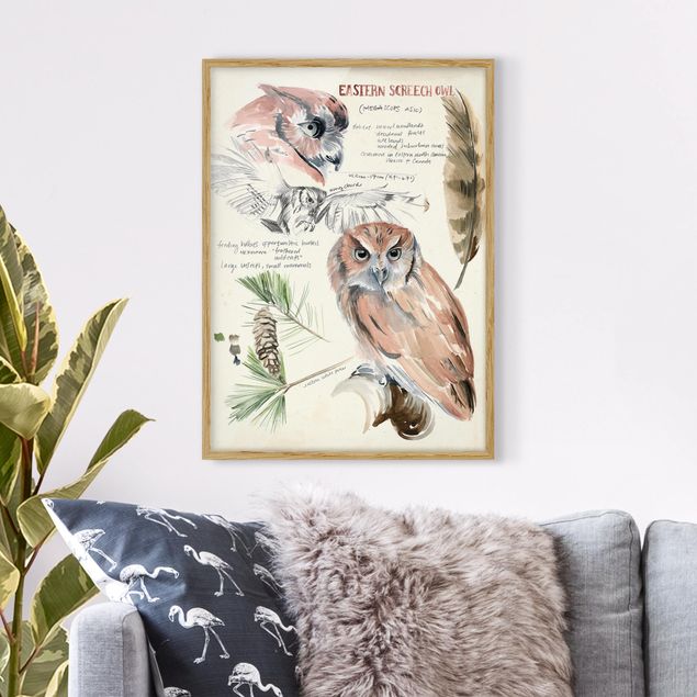 decoraçoes cozinha Wilderness Journal - Owl