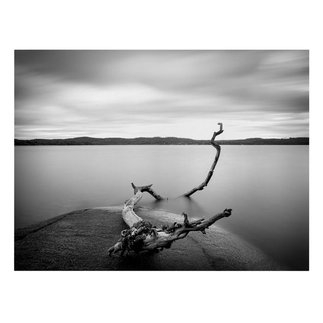 Telas decorativas paisagens Sunset In Black And White By The Lake