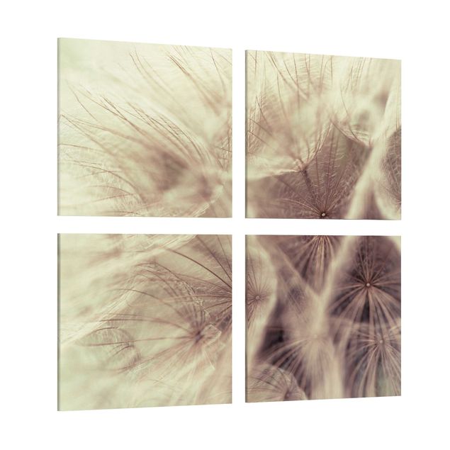 Quadros montanhas Detailed Dandelion Macro Shot With Vintage Blur Effect