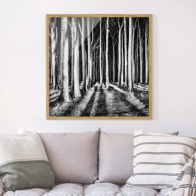 quadro com árvore Spooky Forest