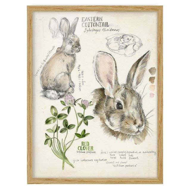 quadros flores Wilderness Journal - Rabbit
