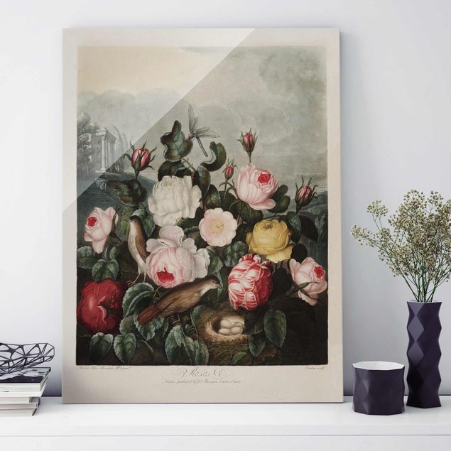 Quadros em vidro de rosas Botany Vintage Illustration Of Roses