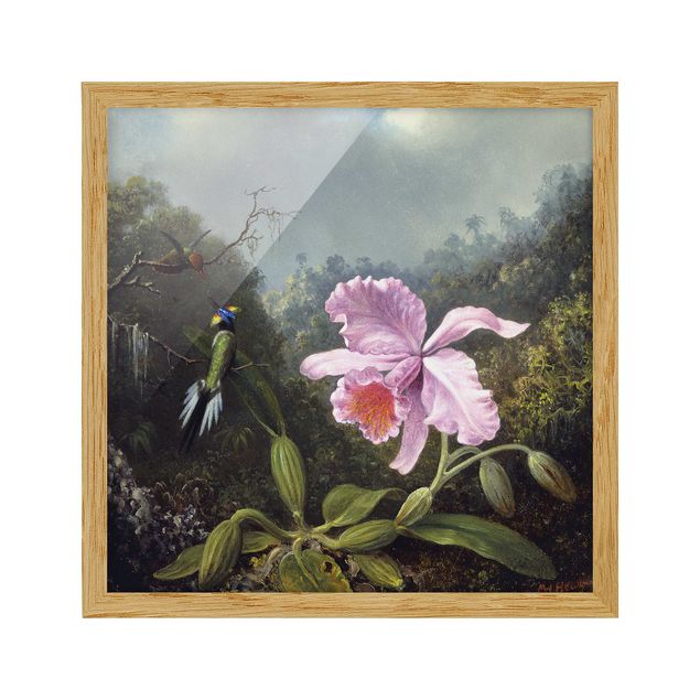 Quadros com moldura flores Martin Johnson Heade - Still Life With An Orchid And A Pair Of Hummingbirds