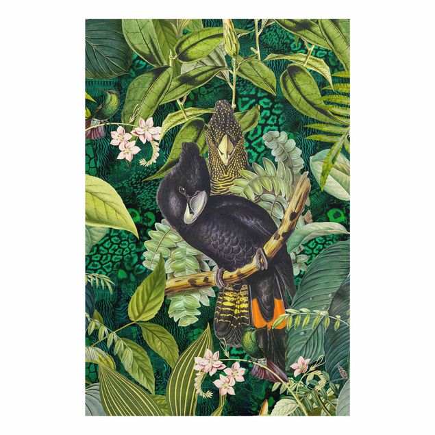 quadros de flores Colourful Collage - Cockatoos In The Jungle