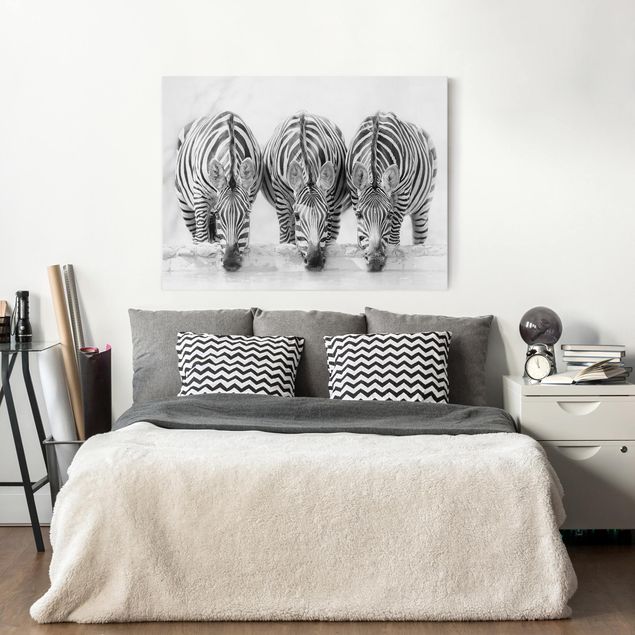 Telas decorativas zebras Zebra Trio In Black And White