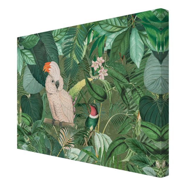 quadro decorativo verde Vintage Collage - Kakadu And Hummingbird
