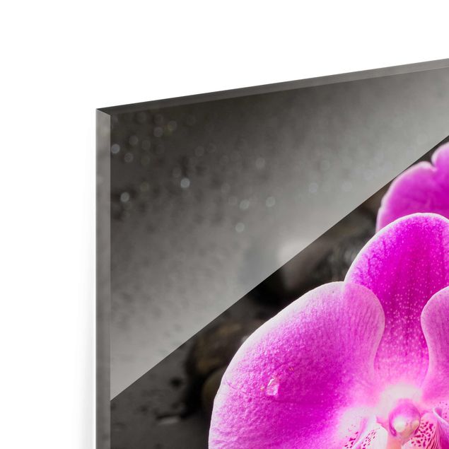 Quadros de Uwe Merkel Pink Orchid Flower On Stones With Drops