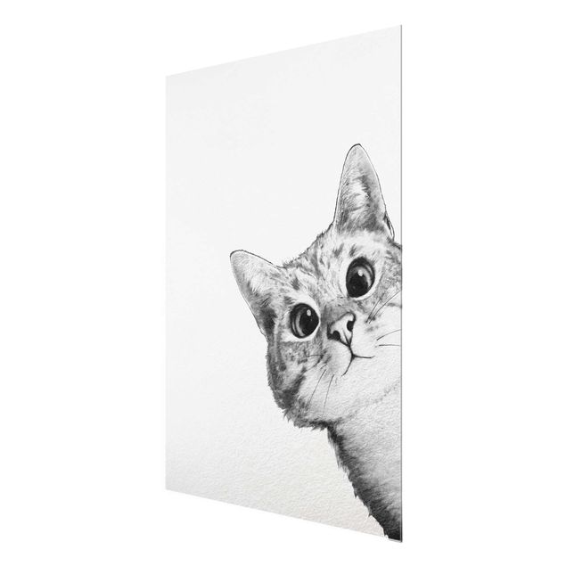 Quadros em vidro animais Illustration Cat Drawing Black And White