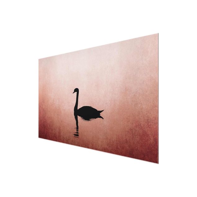 Quadros famosos Swan In Sunset