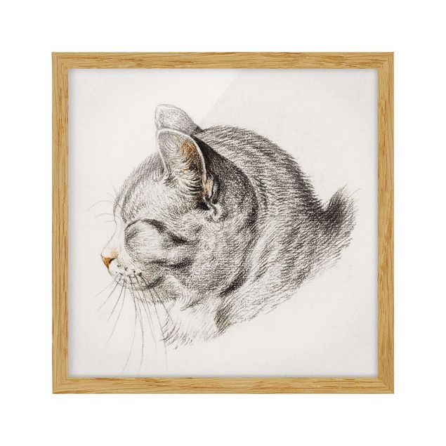 Quadros com moldura animais Vintage Drawing Cat III