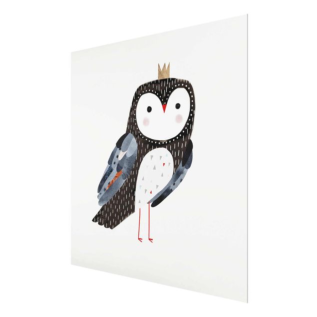 quadro de vidro Crowned Owl Dark