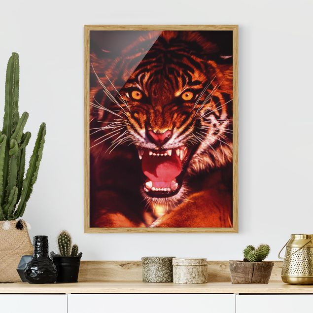 decoraçoes cozinha Wild Tiger