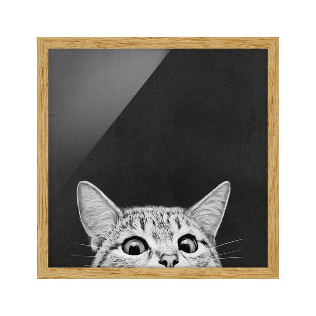 Quadros com moldura em preto e branco Illustration Cat Black And White Drawing