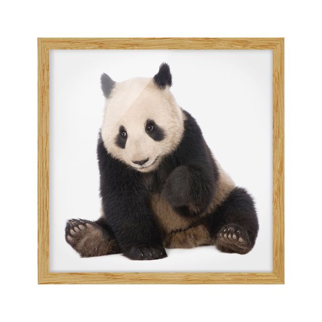 quadros modernos para quarto de casal Panda Paws