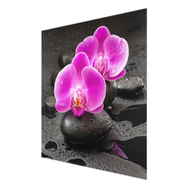 quadro com flores Pink Orchid Flower On Stones With Drops