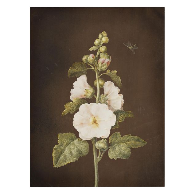 Quadros florais Barbara Regina Dietzsch - Hollyhock