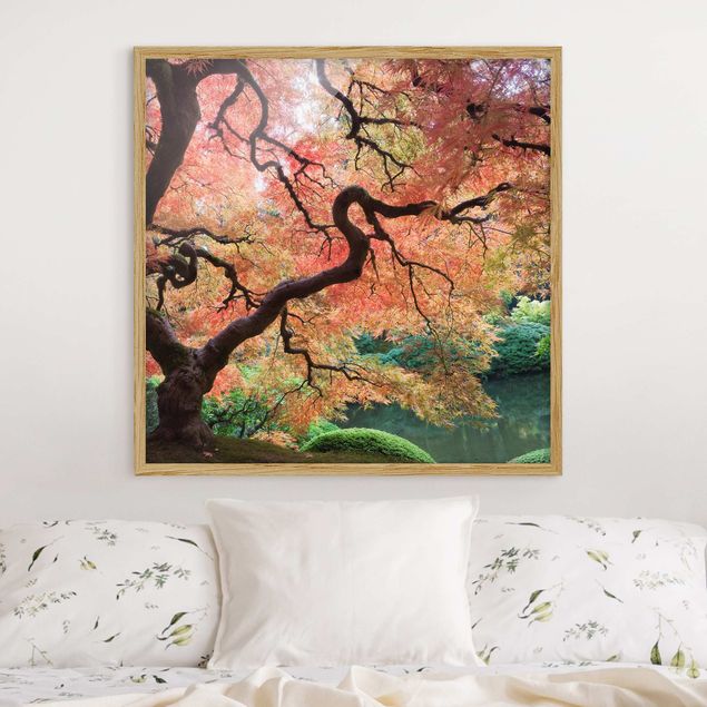 quadro com árvore Japanese Garden