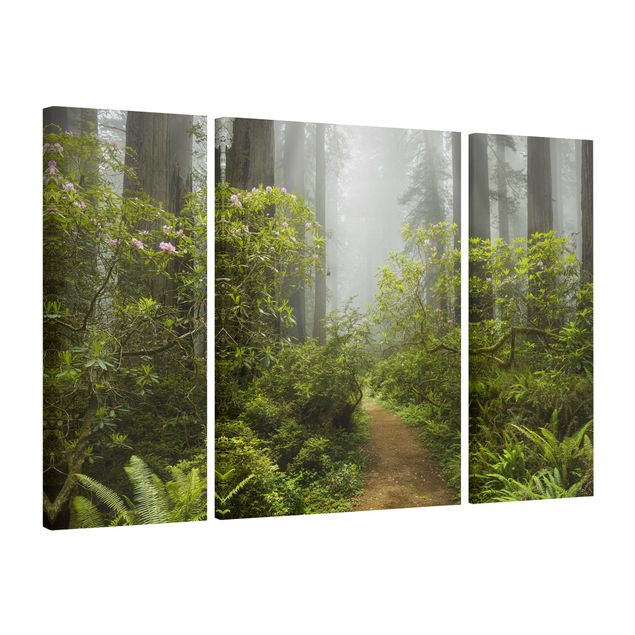 Telas decorativas paisagens Misty Forest Path