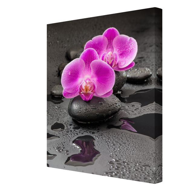 Telas decorativas flores Pink Orchid Flower On Stones With Drops