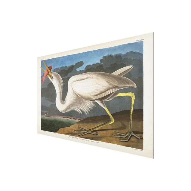 Quadros decorativos Vintage Board Great White Egret