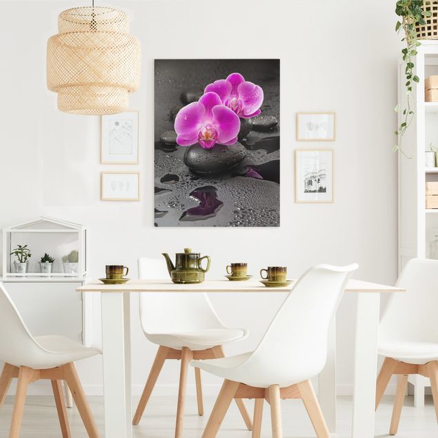 Telas decorativas orquídeas Pink Orchid Flower On Stones With Drops