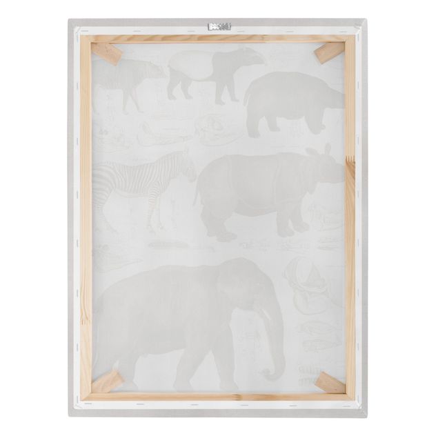 quadro com paisagens Vintage Board Elephant, Zebra And Rhino