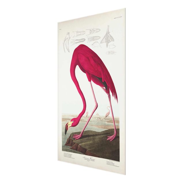 quadro de vidro Vintage Board American Flamingo