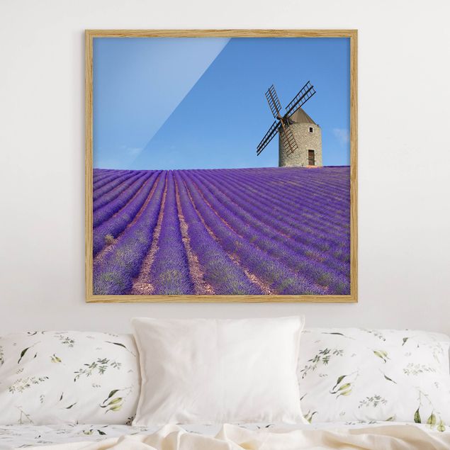 decoraçao cozinha Lavender Scent In The Provence