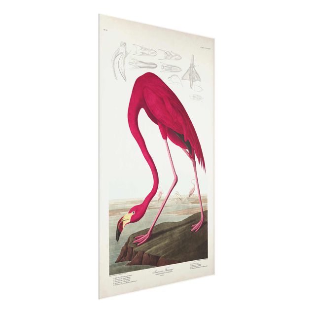 quadro com flores Vintage Board American Flamingo