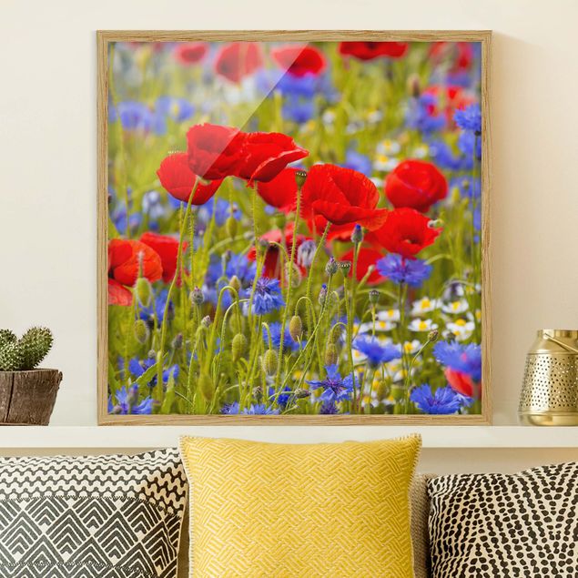 Quadros papoilas Summer Meadow With Poppies And Cornflowers